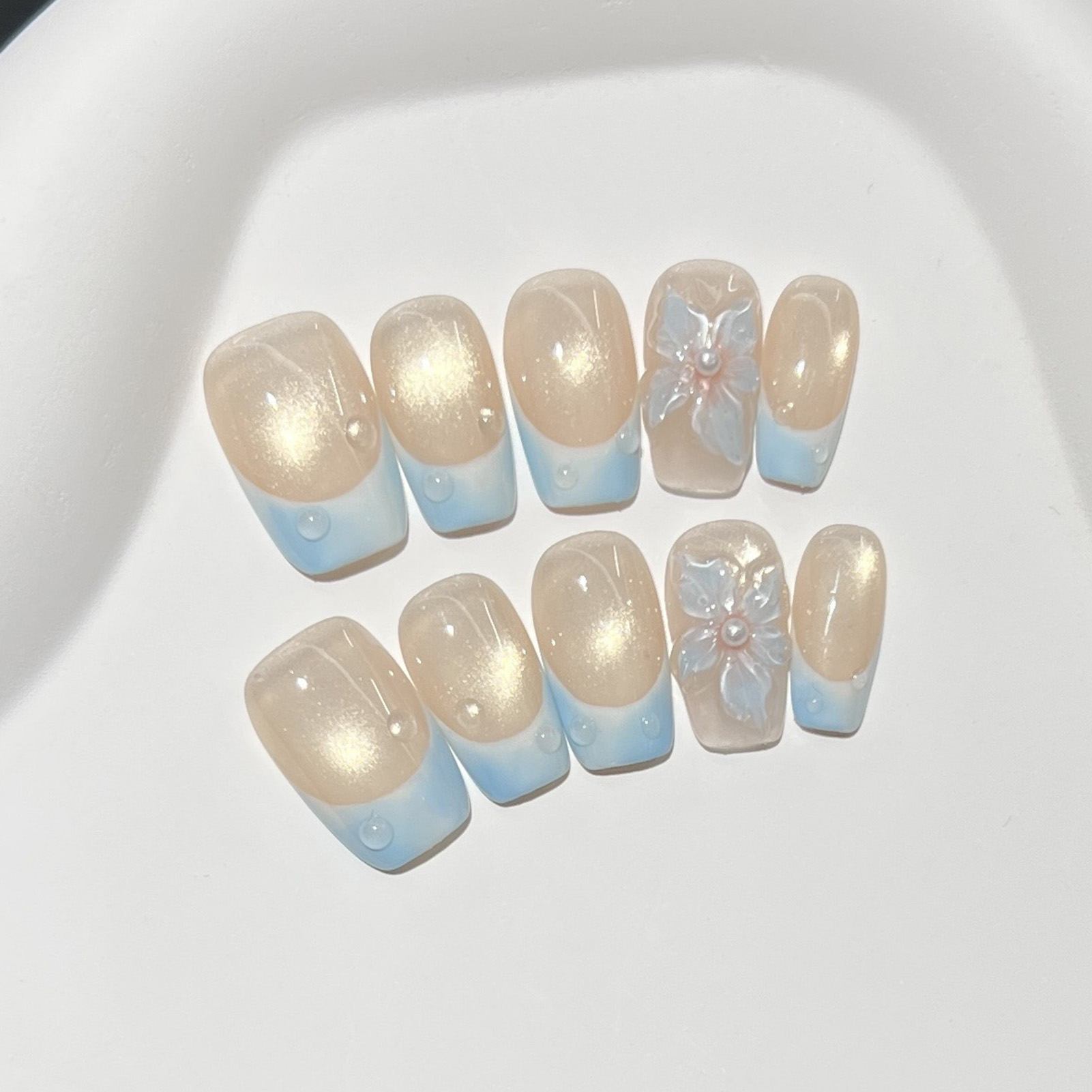 10 Stück französische blaue gl – Nail Art Glossy Bewertung und Preis