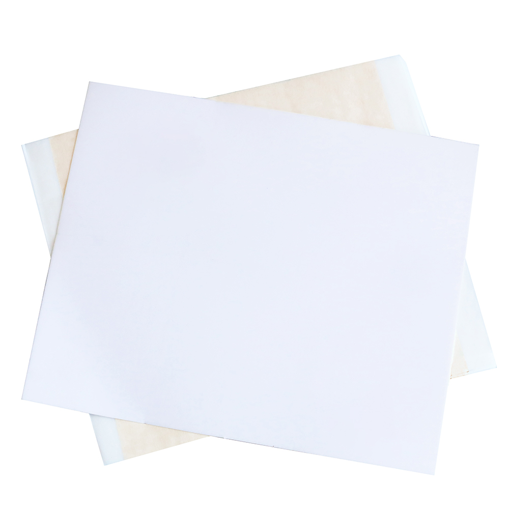 13 x 13,5 cm Champagner-Silber – Nail Foil Transfer Bewertung und Preis